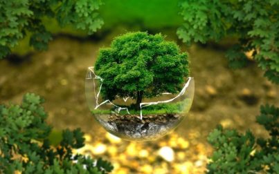 environmental-protection-326923_1920-1080x675-1-744x465