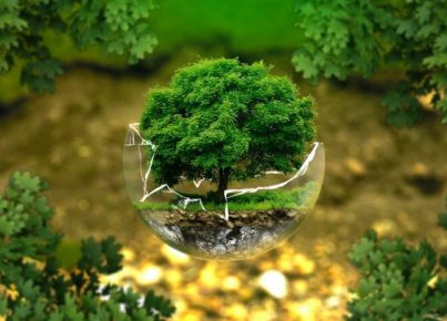 environmental-protection-326923_1920-1080x675-1-744x465